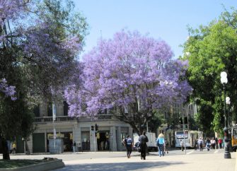 CHILE – Fourth Friday