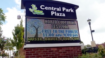 WORLD CULTURAL FESTIVAL 2014